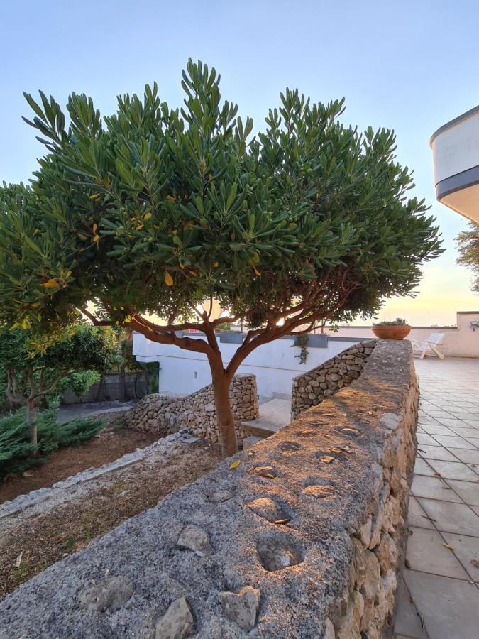 Villa Panoramica Sunset House توري فادو المظهر الخارجي الصورة